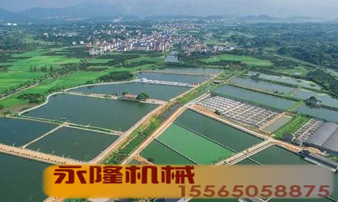 中国建筑技术不断成熟进步深度参与“一带一路”