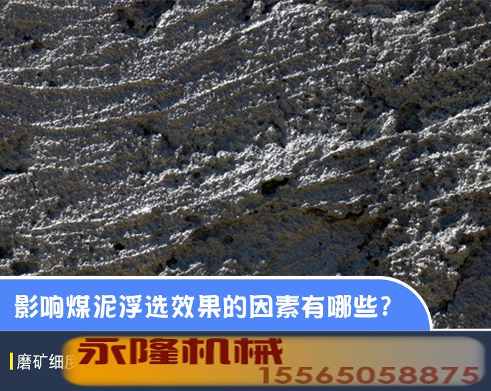 影响煤泥浮选效果