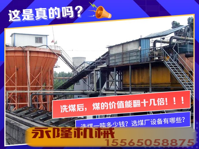 洗煤一吨多少钱